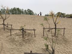 -东郊湿地公园