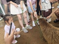 -西霞口神雕山野生动物世界