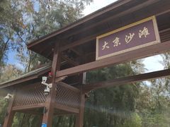 -大京沙滩