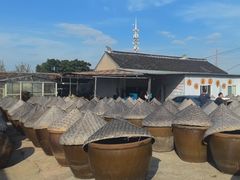 -苏州市吴中区光福窑上花果蜜饯厂