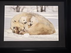 -罗红摄影艺术馆