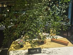 -翠府(翠湖北路店)