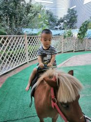 -萌宠亲子动物乐园(槐房万达店)