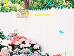 -上海鲜花港