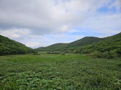 -大围山国家森林公园