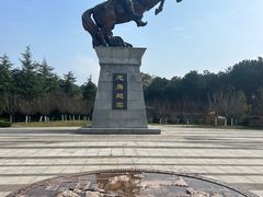 -铁山坪森林公园