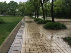 -新江湾城公园