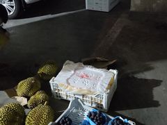 -双福水果批发市场