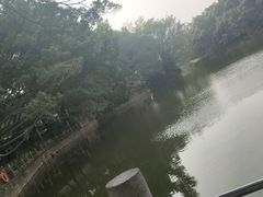 -人民公园(罗湖区)