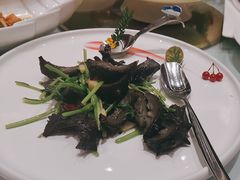 -雪园(南山街店)