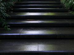 -宝界山林公园
