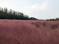 -嘉北郊野公园