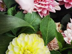 -AHAVA·Fang Baking Studio