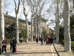 -武汉大学-樱园