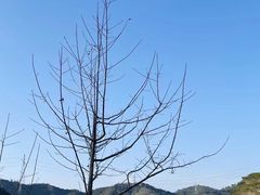 -凤岗南门山森林公园