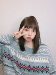 -YESIDO椰岛造型