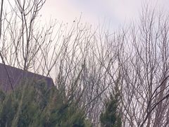 -南翠屏公园