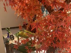 -汤里来温泉