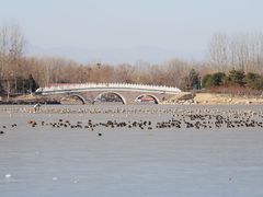 -大兴滨河森林公园