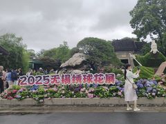 -无锡蠡湖国家湿地公园-蠡园