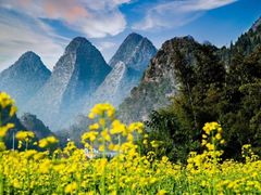 -万峰林风景区