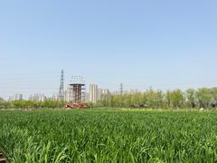 -永定河休闲森林公园