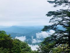 -瓦屋山景区