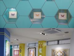 -上海昆虫博物馆