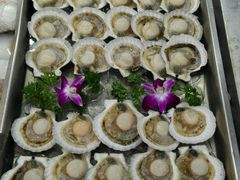 -海岛渔村大酒店(云霄路店)