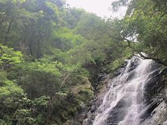 -梧桐山风景名胜区