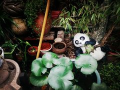 android_upload_pic-苏州桃花坞国际青年旅舍