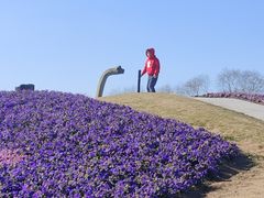 -南通洲际绿博园