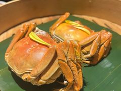 -成隆行·蟹王府(九江路店)