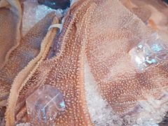 爽脆黑毛肚-煲宫猪肚鸡(晶品店)