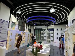 -小猫来了·猫舍(红山六九七九店)