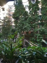 点击看大图 -匿名者纹身学院派·刺青