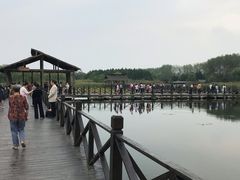 -溱湖国家湿地公园