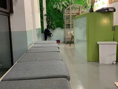-雨林宠物医院·异宠专科(浦东分院)