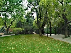 -上海市龙华烈士陵园