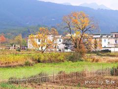 -塔川景区