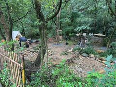 -北仑森林植物园