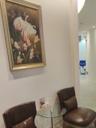 -天津伊美尔医疗整形美容专科医院