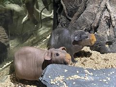 -顺德南宏海立方海洋公园