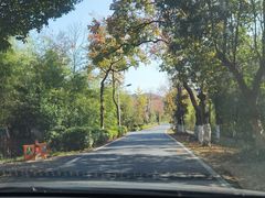 -莫干山风景区