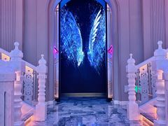 -斯卡拉演艺集团