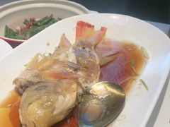 清蒸东星斑-徐记海鲜(南油永新汇店)