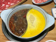 -青瓷火锅料理(西单大悦城店)