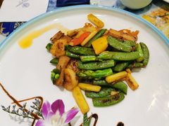 菌皇芦竹笋炒澳带-瓷忆·瓷文化餐厅(上海店)