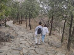 -阳台山自然风景区