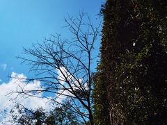 -七仙岭温泉国家森林公园